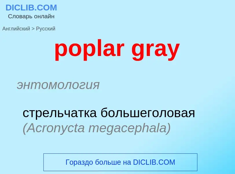 What is the الروسية for poplar gray? Translation of &#39poplar gray&#39 to الروسية