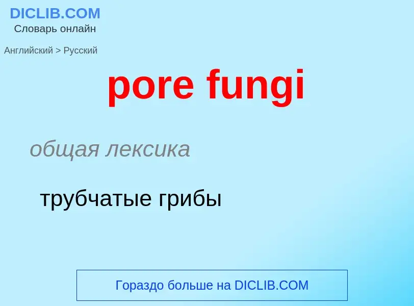 Traduction de &#39pore fungi&#39 en Russe