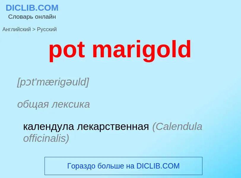 Как переводится pot marigold на Русский язык