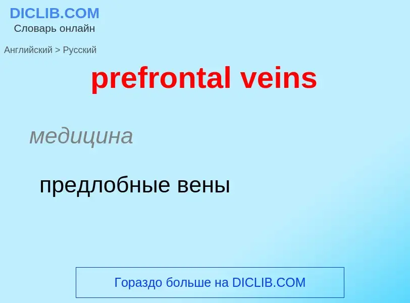 Как переводится prefrontal veins на Русский язык