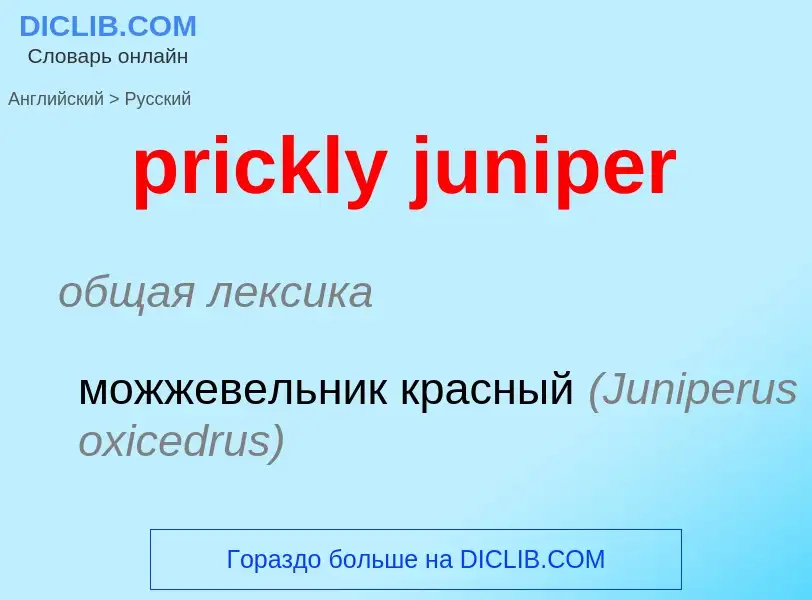 Μετάφραση του &#39prickly juniper&#39 σε Ρωσικά