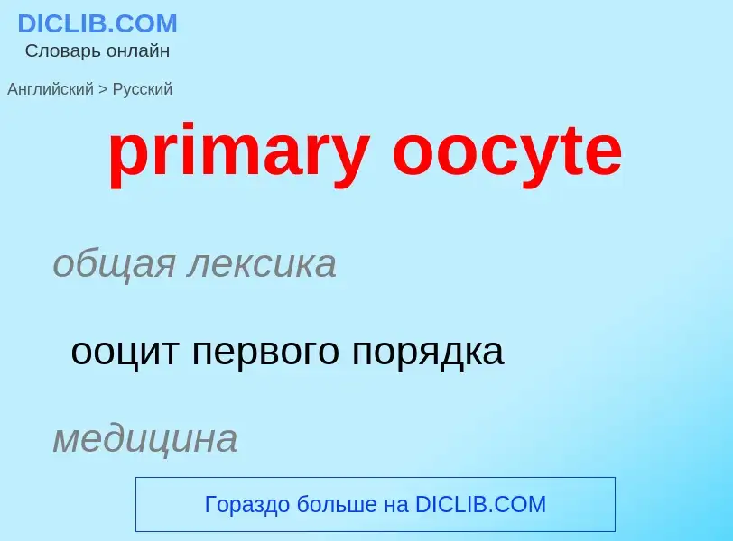 ¿Cómo se dice primary oocyte en Ruso? Traducción de &#39primary oocyte&#39 al Ruso