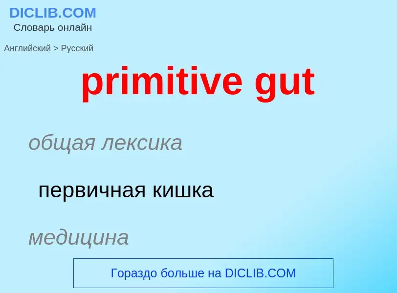 What is the الروسية for primitive gut? Translation of &#39primitive gut&#39 to الروسية