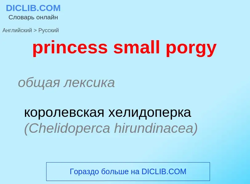 Como se diz princess small porgy em Russo? Tradução de &#39princess small porgy&#39 em Russo