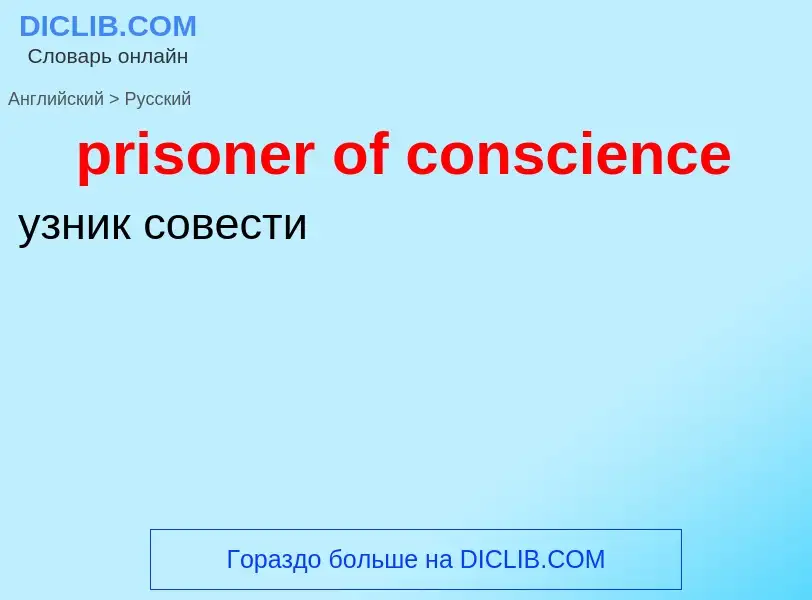 Как переводится prisoner of conscience на Русский язык