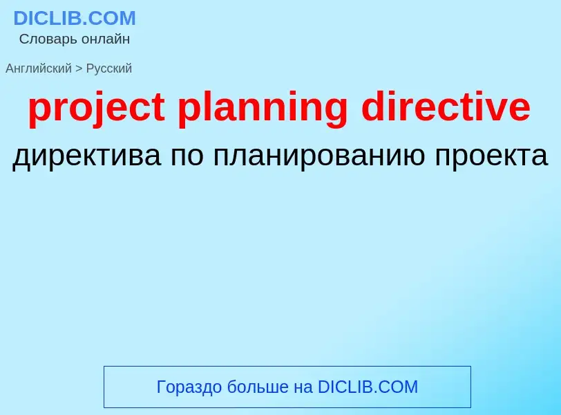 Как переводится project planning directive на Русский язык