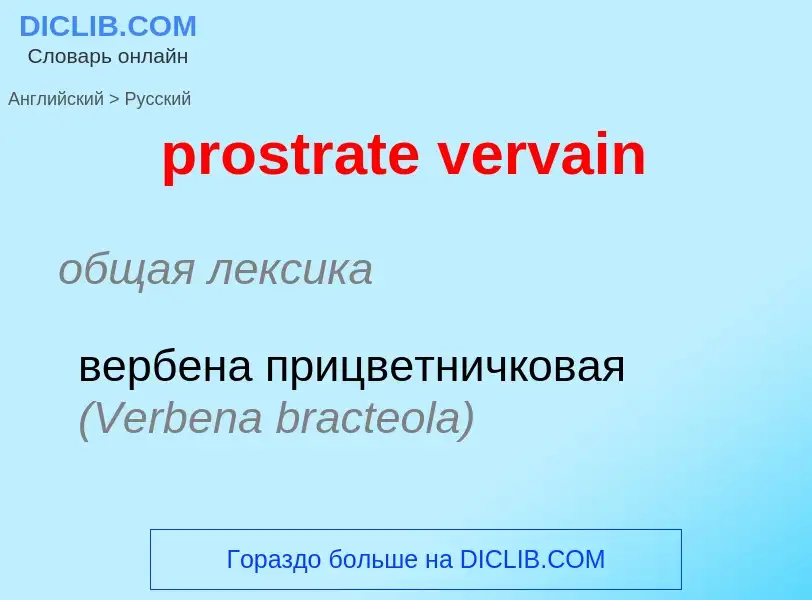 ¿Cómo se dice prostrate vervain en Ruso? Traducción de &#39prostrate vervain&#39 al Ruso