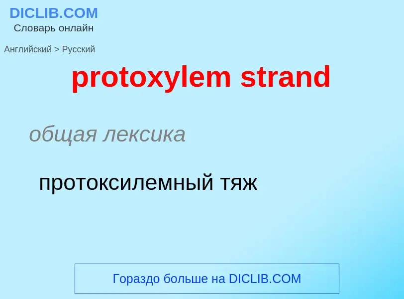 Как переводится protoxylem strand на Русский язык