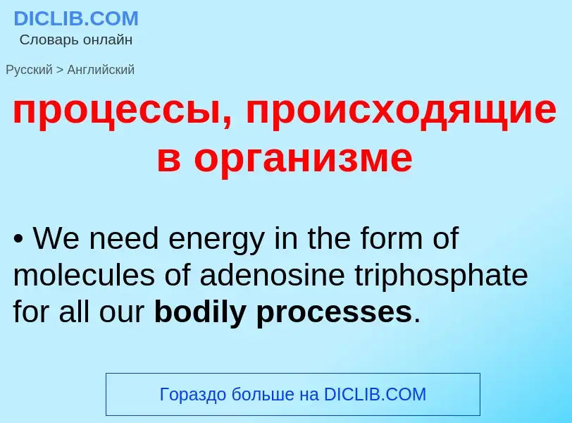 Como se diz процессы, происходящие в организме em Inglês? Tradução de &#39процессы, происходящие в о