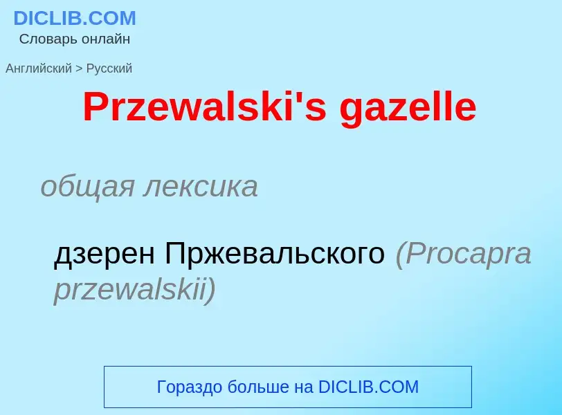 Μετάφραση του &#39Przewalski's gazelle&#39 σε Ρωσικά