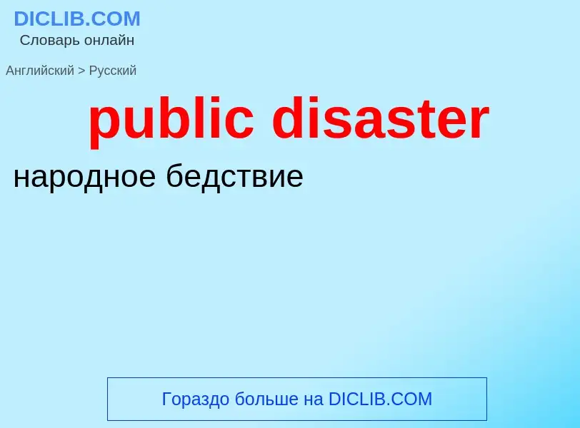 What is the Russian for public disaster? Translation of &#39public disaster&#39 to Russian