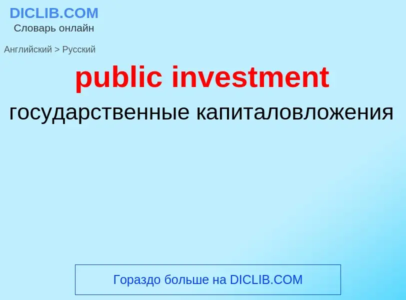 Как переводится public investment на Русский язык