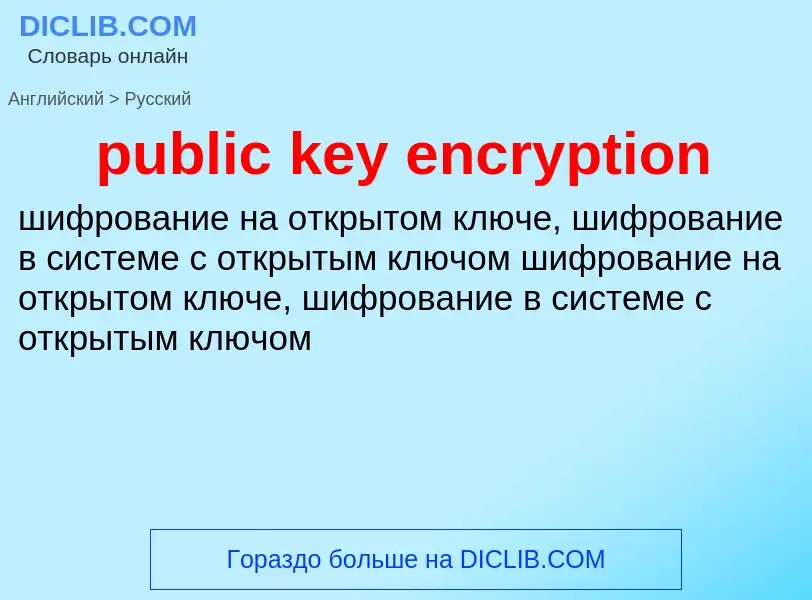 What is the Russian for public key encryption? Translation of &#39public key encryption&#39 to Russi