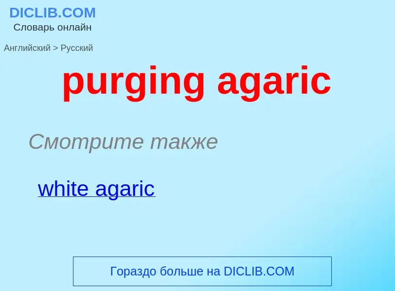 Traduction de &#39purging agaric&#39 en Russe