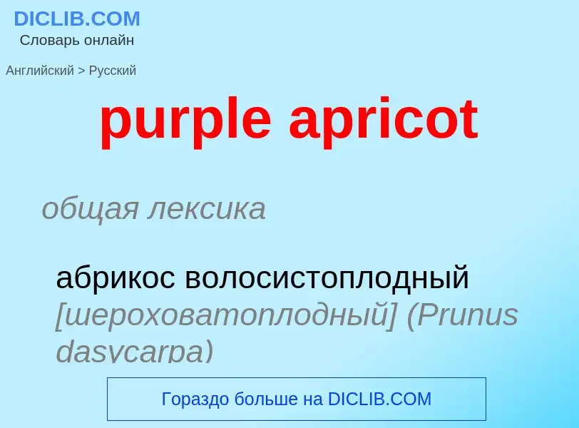 Μετάφραση του &#39purple apricot&#39 σε Ρωσικά