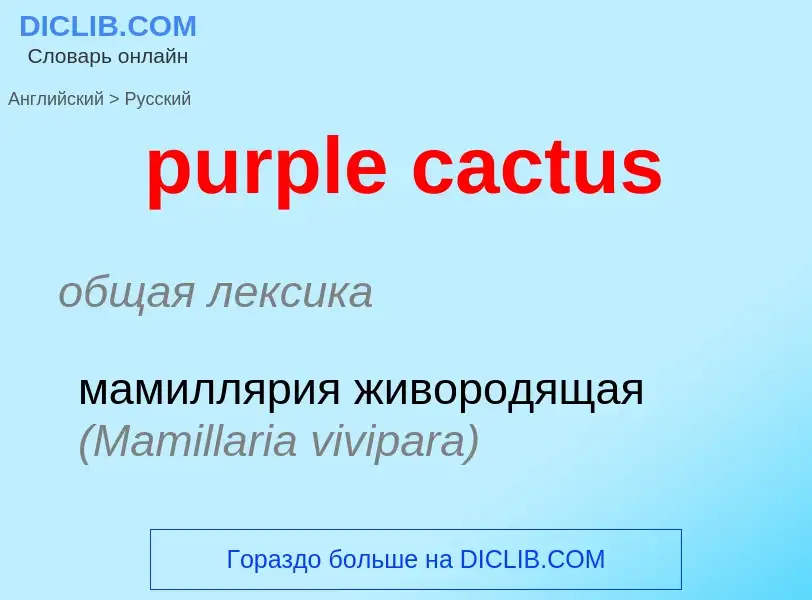 ¿Cómo se dice purple cactus en Ruso? Traducción de &#39purple cactus&#39 al Ruso