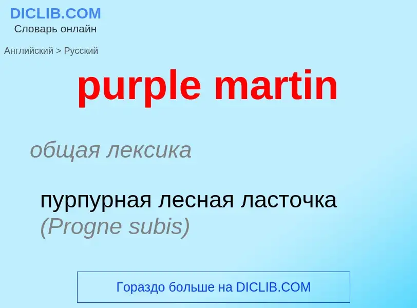 Как переводится purple martin на Русский язык