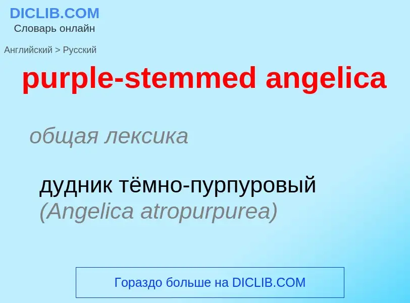 ¿Cómo se dice purple-stemmed angelica en Ruso? Traducción de &#39purple-stemmed angelica&#39 al Ruso