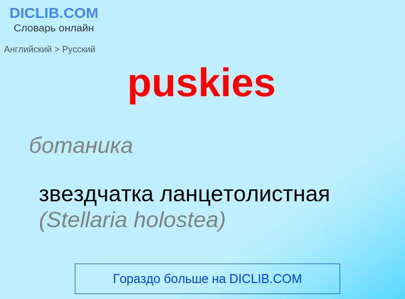 Как переводится puskies на Русский язык