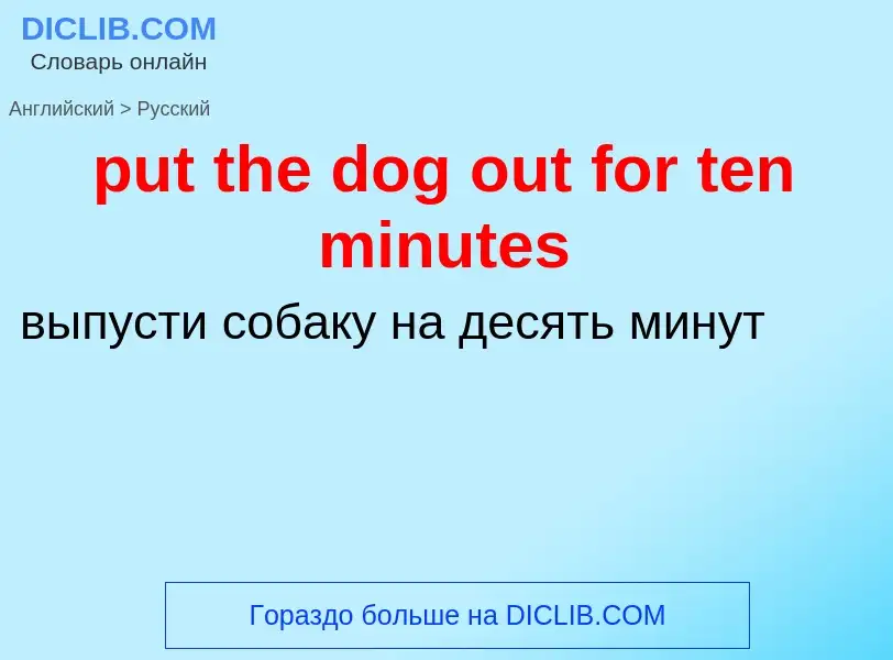 Как переводится put the dog out for ten minutes на Русский язык