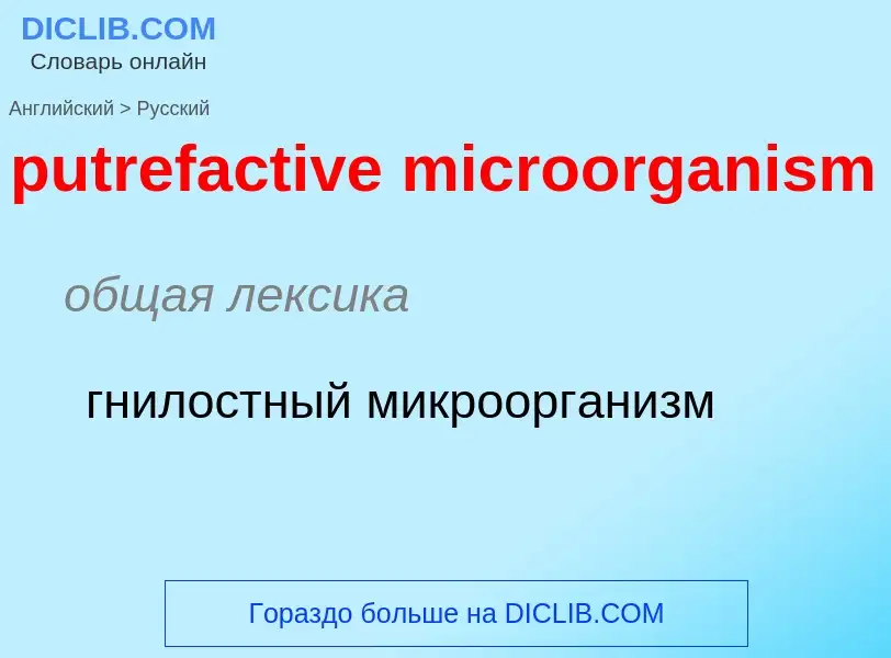 Как переводится putrefactive microorganism на Русский язык