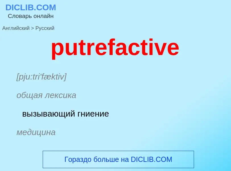 Как переводится putrefactive на Русский язык