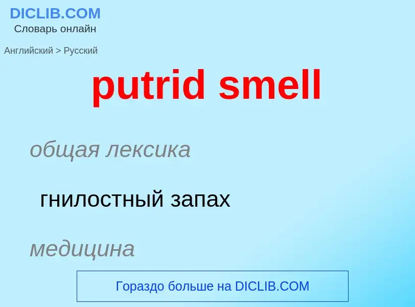 Как переводится putrid smell на Русский язык