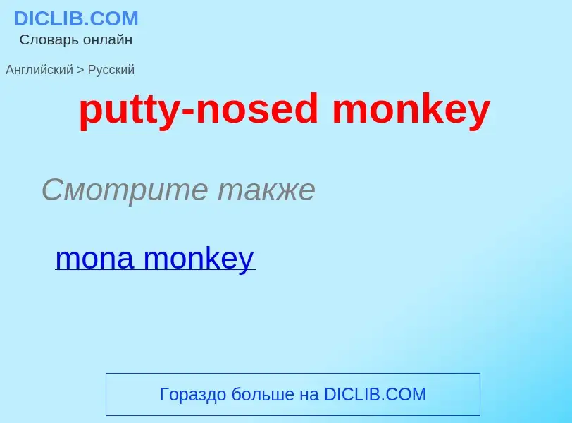 Как переводится putty-nosed monkey на Русский язык