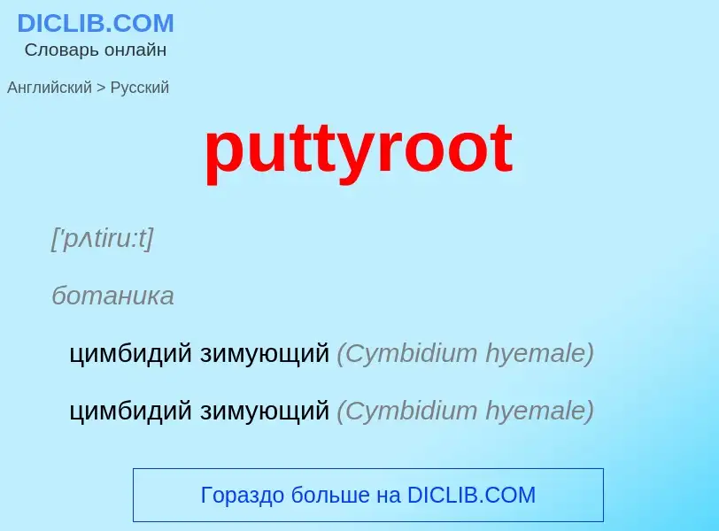 Как переводится puttyroot на Русский язык