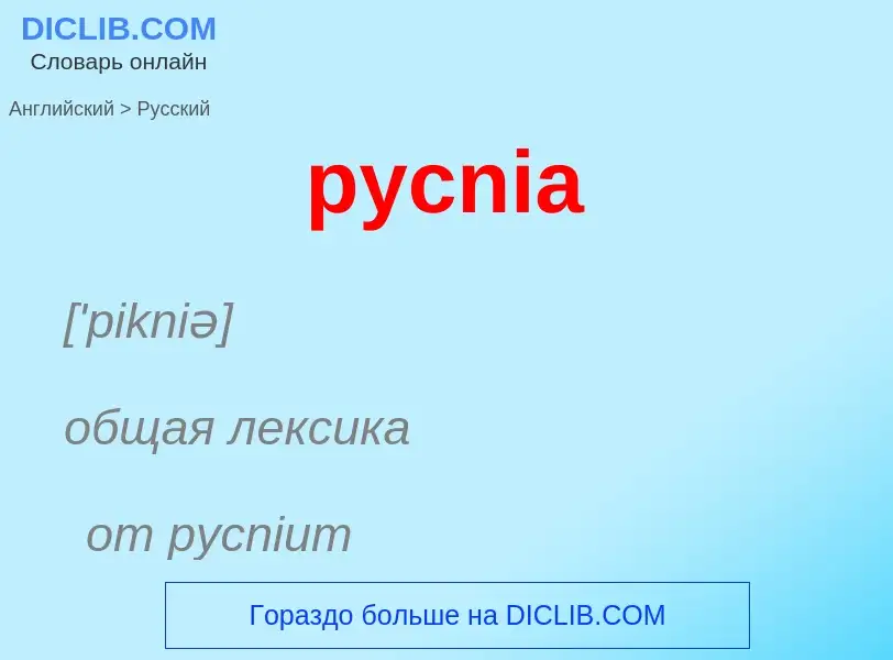 Как переводится pycnia на Русский язык