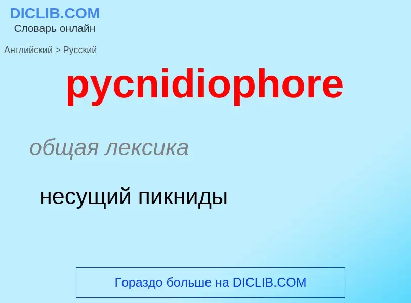 Как переводится pycnidiophore на Русский язык