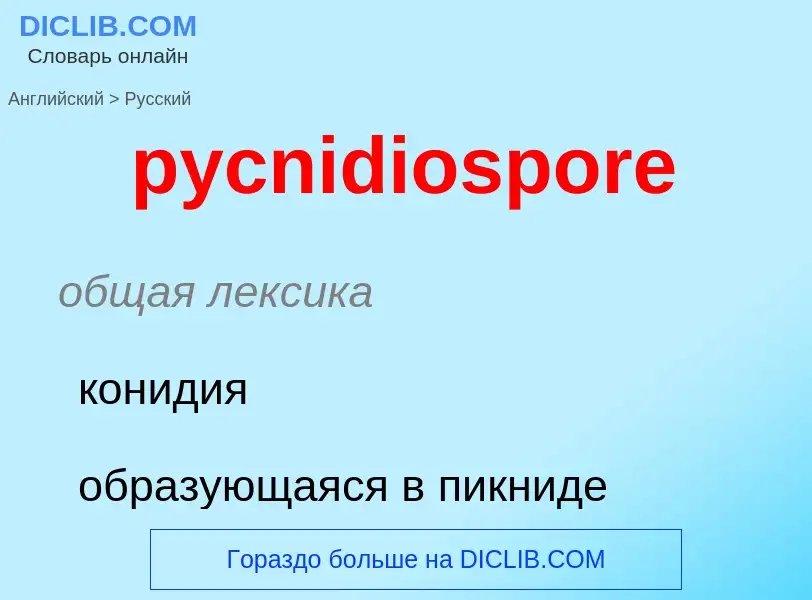 Как переводится pycnidiospore на Русский язык