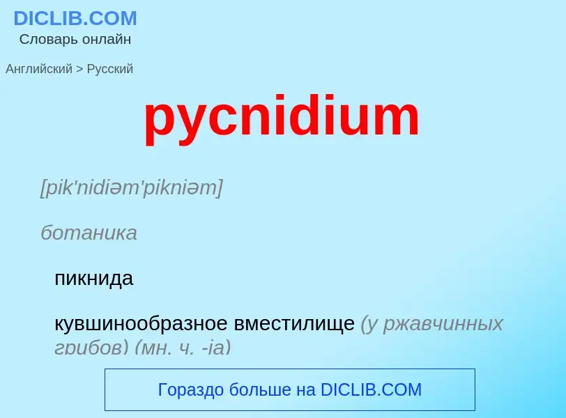 Как переводится pycnidium на Русский язык