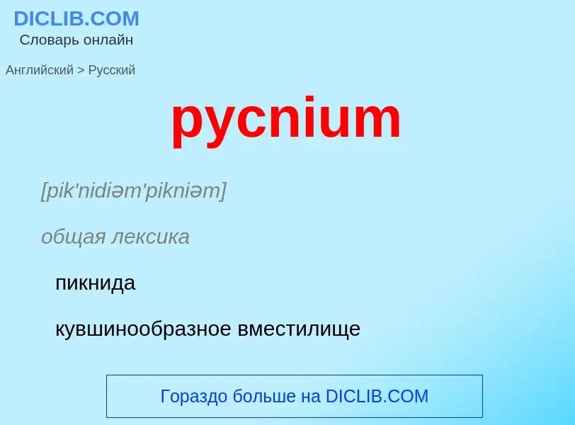 Как переводится pycnium на Русский язык