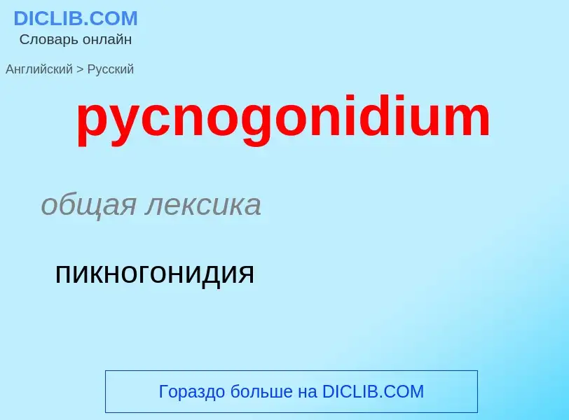 Как переводится pycnogonidium на Русский язык