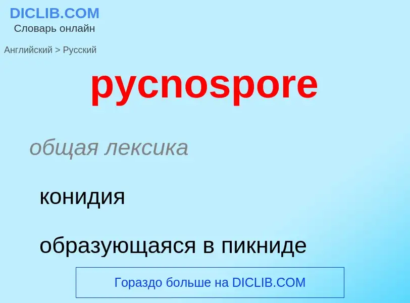 Как переводится pycnospore на Русский язык