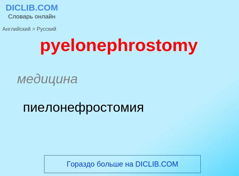 Как переводится pyelonephrostomy на Русский язык