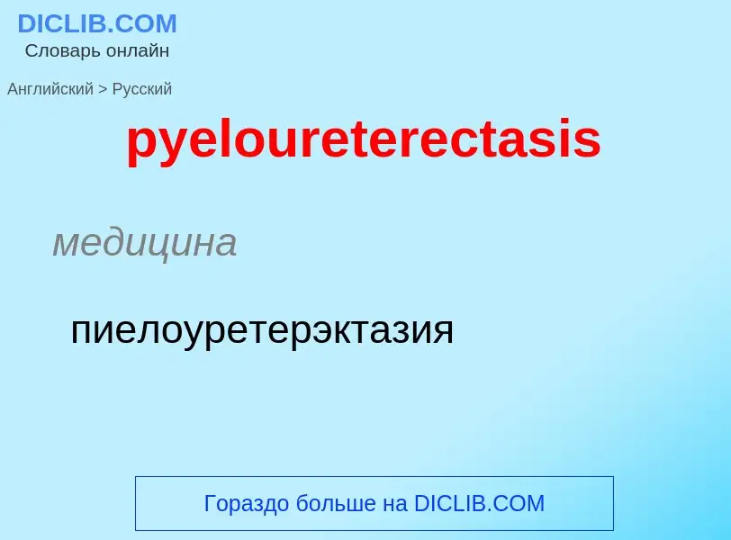 Как переводится pyeloureterectasis на Русский язык