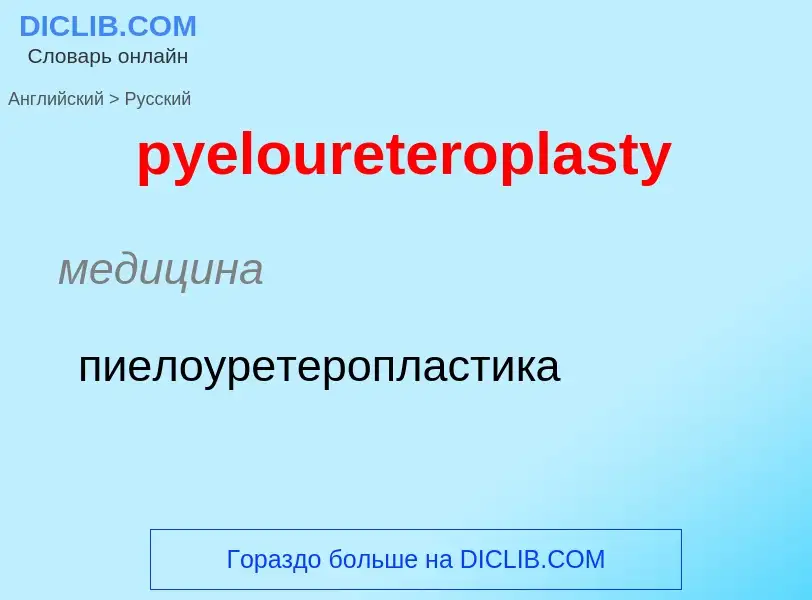 Как переводится pyeloureteroplasty на Русский язык