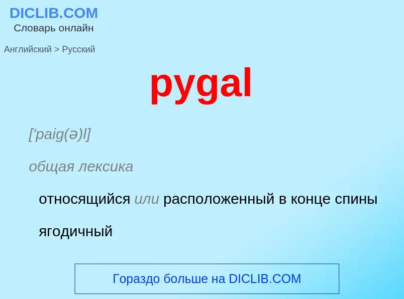 Как переводится pygal на Русский язык