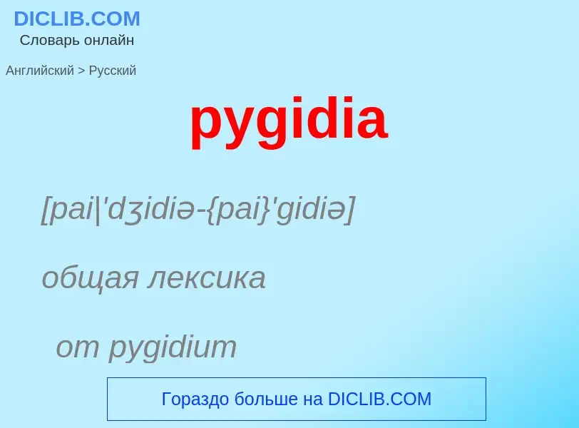 Как переводится pygidia на Русский язык