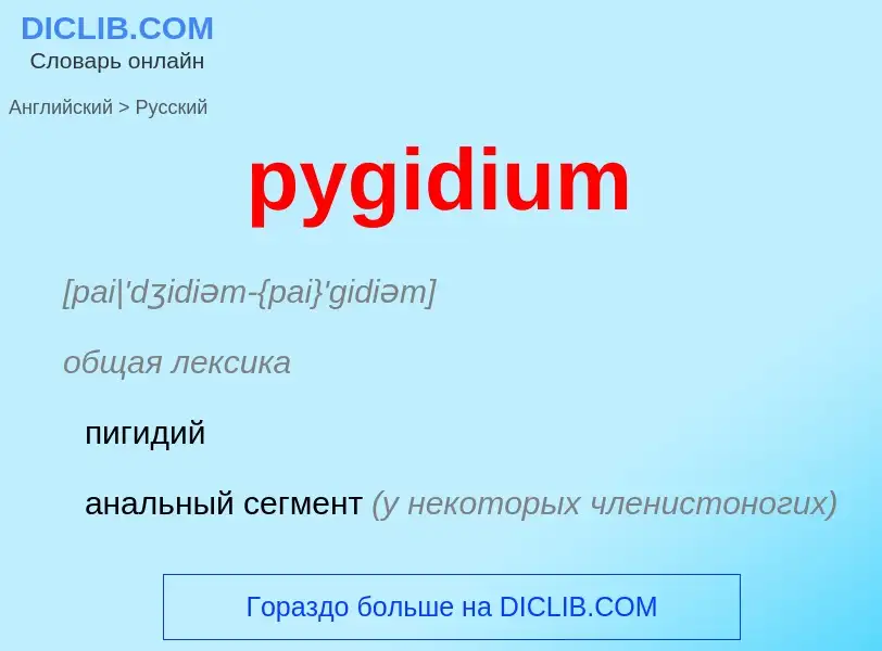 Μετάφραση του &#39pygidium&#39 σε Ρωσικά