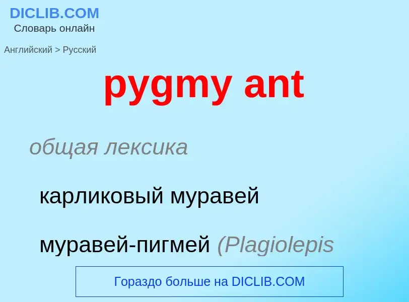 Μετάφραση του &#39pygmy ant&#39 σε Ρωσικά