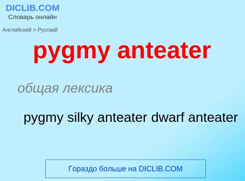 Μετάφραση του &#39pygmy anteater&#39 σε Ρωσικά