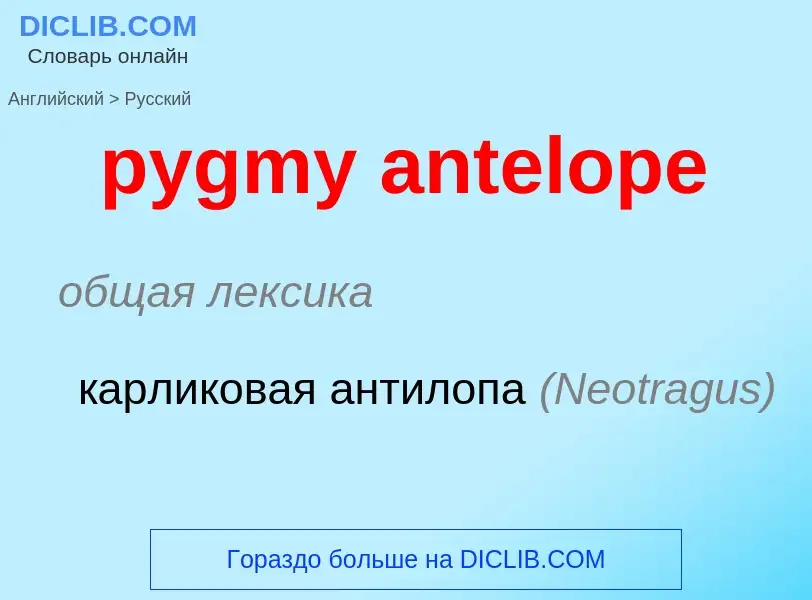 Μετάφραση του &#39pygmy antelope&#39 σε Ρωσικά