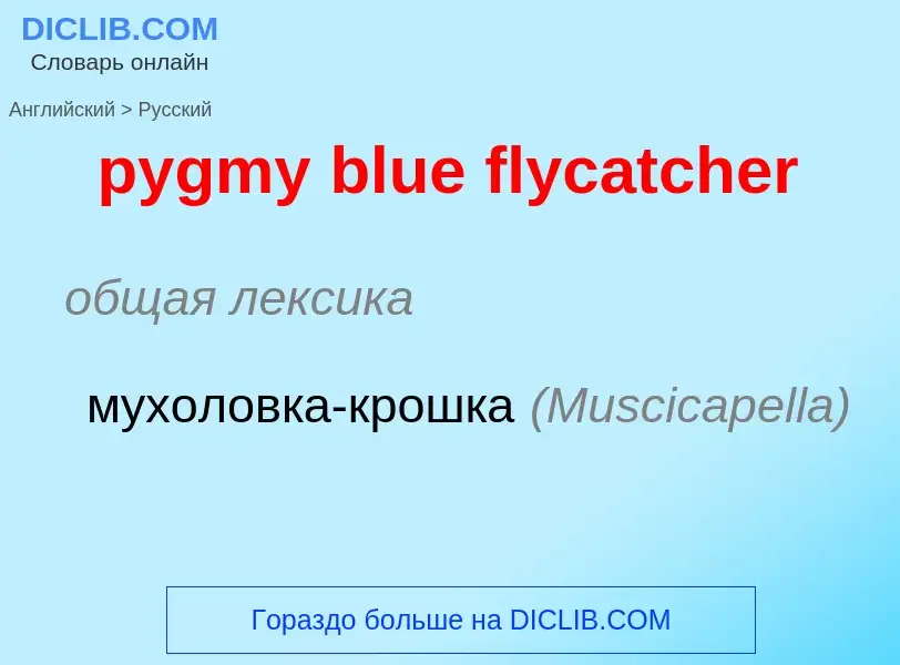 Как переводится pygmy blue flycatcher на Русский язык