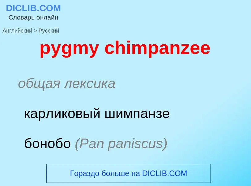 Как переводится pygmy chimpanzee на Русский язык