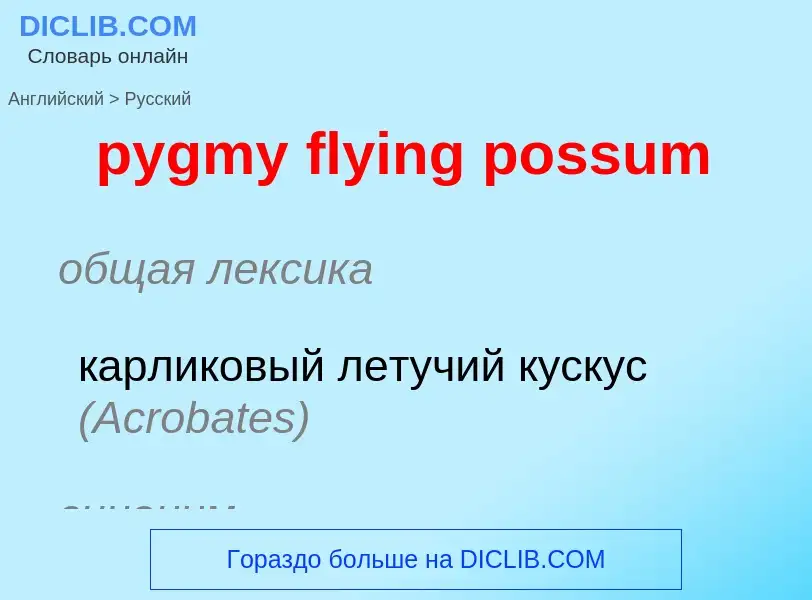 Μετάφραση του &#39pygmy flying possum&#39 σε Ρωσικά