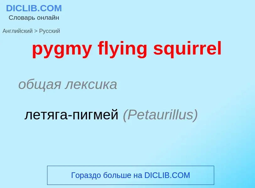 Как переводится pygmy flying squirrel на Русский язык