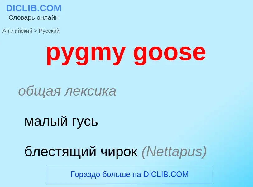 Vertaling van &#39pygmy goose&#39 naar Russisch